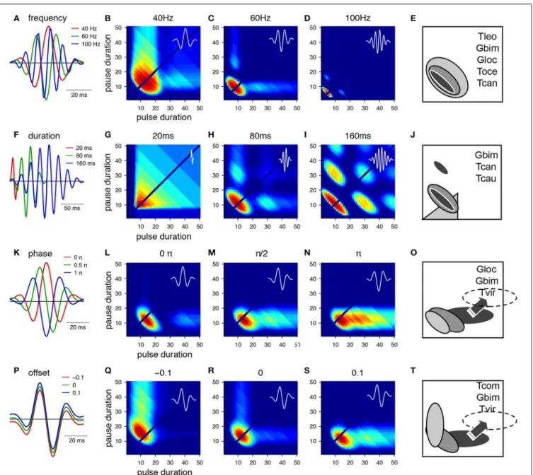 FIGURE 3 | From Gabor filters to behavioral preference functions for a pulse pattern. (A–E) Variation of the frequency and resulting preference profiles
