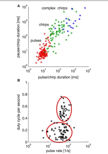 FIGURE 5 | Temporal parameters in the songs of crickets. (A) Distribution of temporal parameters in the calling song for crickets on different time scales