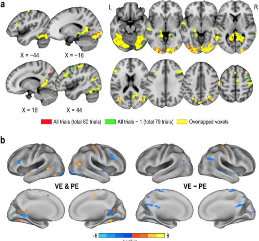 Fig 4. Comparison of initial feature masks for decoding. (a) The initial feature masks from statistical parametric maps generated from all trials (total 80 trials, colored in red and yellow) and all trials except for a test trial (total 79 trials, colored 