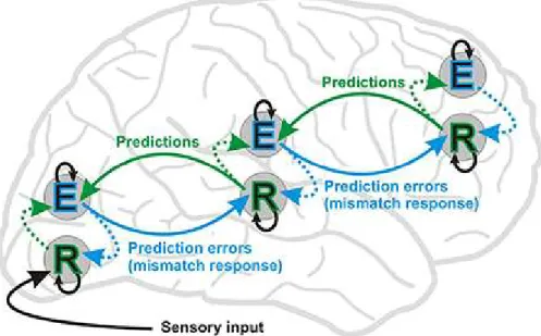 Figure 2.11. Model of predictive coding (Stefanics, Kremláček, &amp; Czigler, 2014). E: 