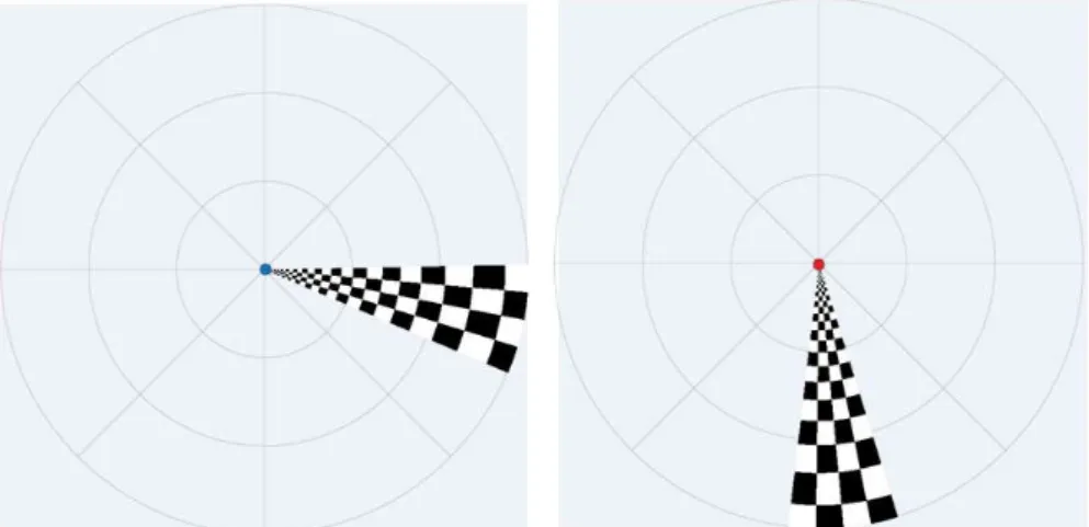 Figure 2.15. Retinotopy task; participants asked to fixate on the blue dot, see image  to the left, and respond when the dot changed to red, see image on the right