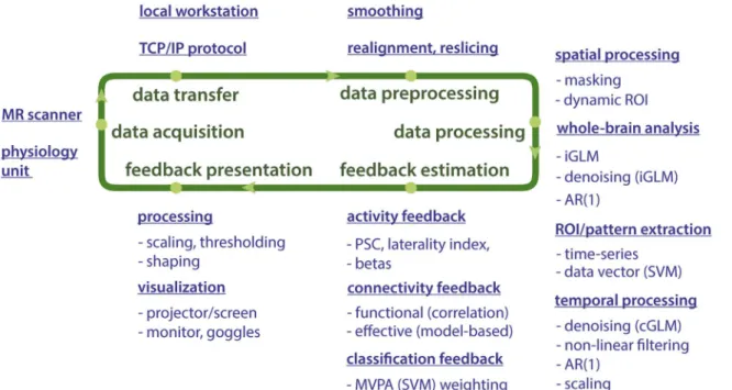 Fig. 1. An illustrative data ﬂow for neurofeedback based on rt-fMRI that reﬂects the OpenNFT built-in functionality