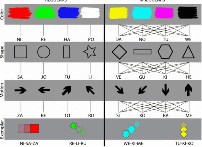 Figure 1. Stimulus materials.