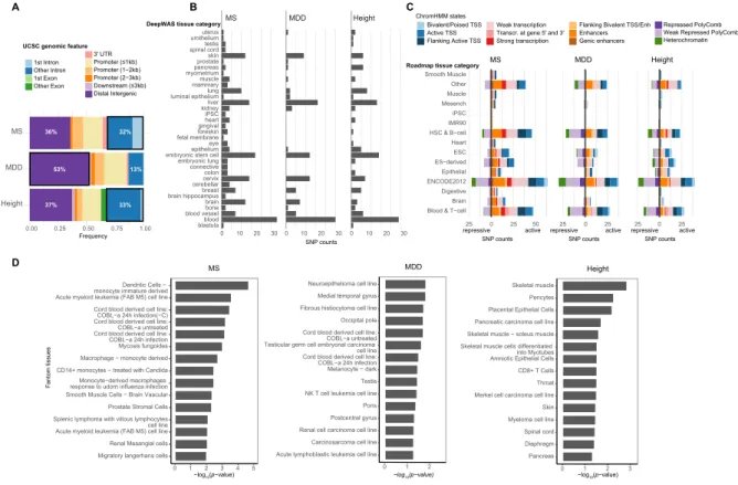 Figure 2: Functional characterization of DeepWAS hits. A) Annotation of the genomic regions in  which deepSNPs are located: 63-87% of the genomic positions of deepSNPs overlapped with  non-coding DNA elements