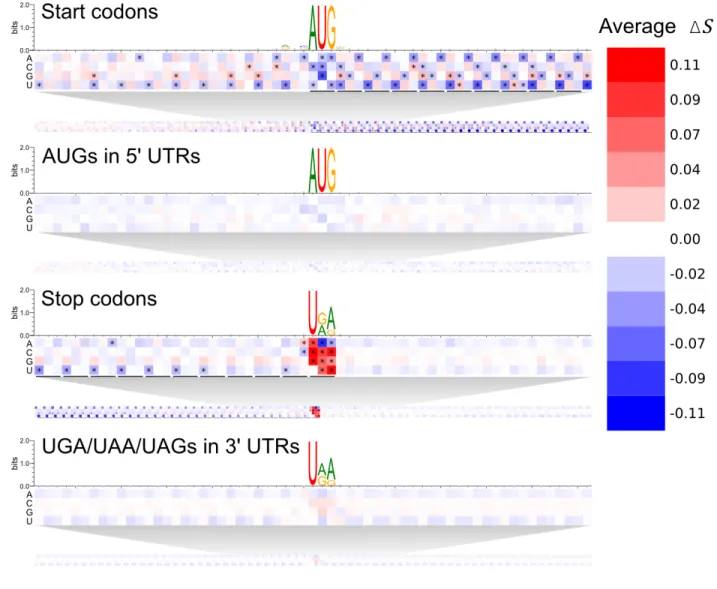 Figure 3. Transcript Point Mutation Maps. 