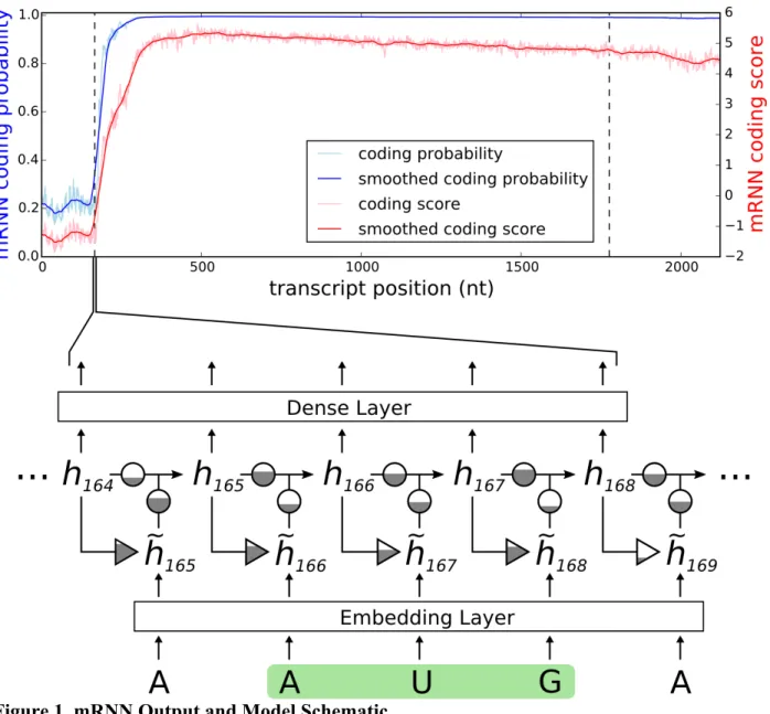 Figure 1. mRNN Output and Model Schematic 