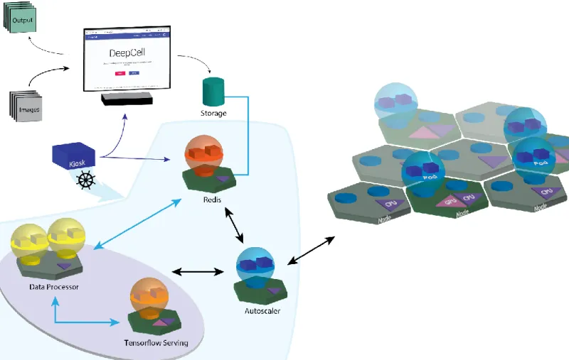 Figure  1:  Software  architecture  of  DeepCell  2.0.  Blue  lines  signify  flow  of  data  while  black  lines  signify  flow  of  compute resources