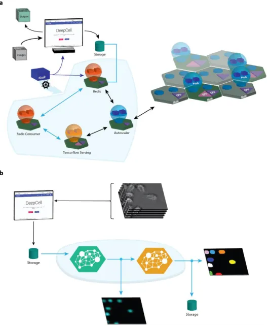 Figure  1:  Cloud  computing  enables  large-scale  cellular  image  analysis  with  deep  learning