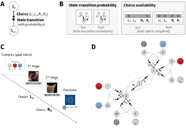 Figure  1.  Task  Design.  (A)  Two-stage  Markov  decision  task.  Participants  choose  between  two  to  four  options, followed by a transition according to a certain state-transition probability p, resulting in participants  moving  from  one  state  