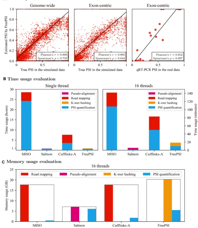 Figure 3. (A) Accuracy of FreePSI. The left and center scatter plots show the correlation between the true PSI values and PSI values estimated by FreePSI on the simulated data using genome-wide and exon-centric evaluation methods, respectively