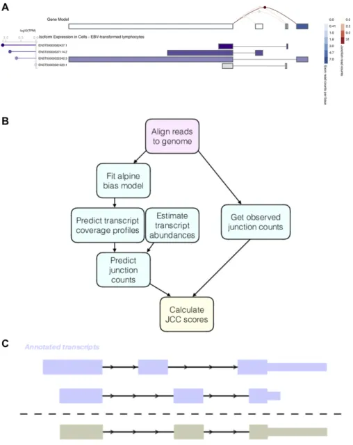 Figure 1. Motivation and outline of the JCC score. (A) Example of a gene with inconsistent signals resulting from abundance estimation based on exons, junctions, or entire isoforms