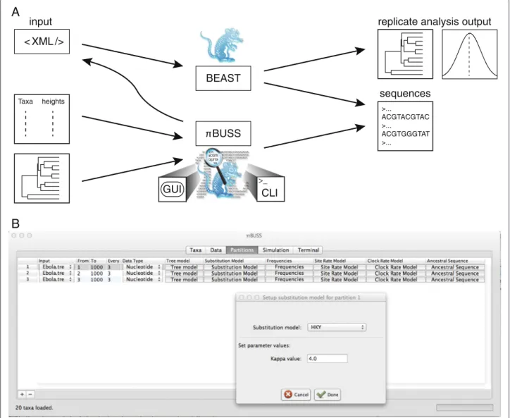 Figure 1 Overview of the π BUSS simulation procedures and GUI screenshot. A. Schematic representation of the different ways to employ the π BUSS simulation software