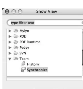 Figure 3-11. The newly opened Synchronize view