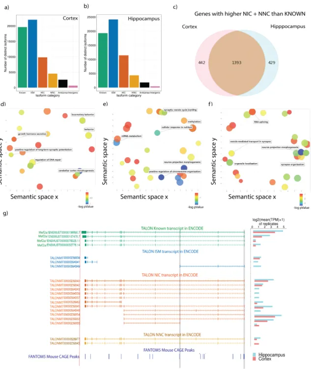Figure  5.  PacBio  transcriptomes  of  6-month  male  adult  mouse  cortex  and  hippocampus