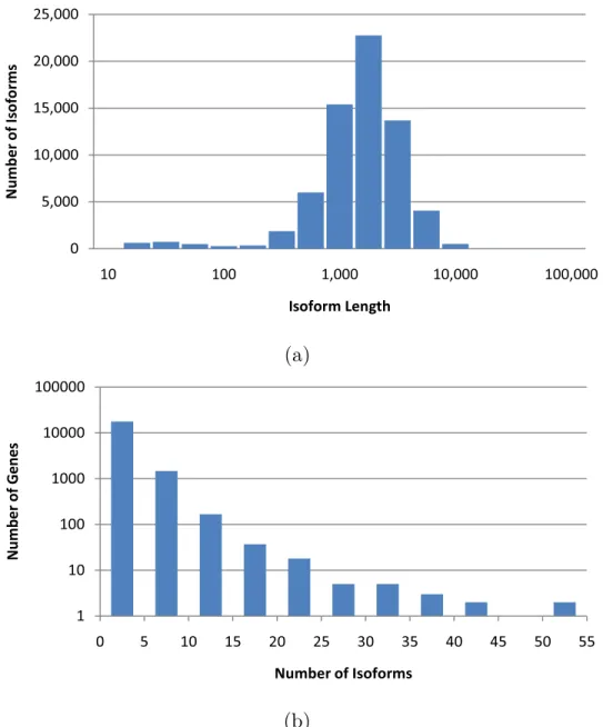 Figure 1.3.1: Distribution of isoform lengths (a) and gene cluster sizes (b) in the UCSC dataset.