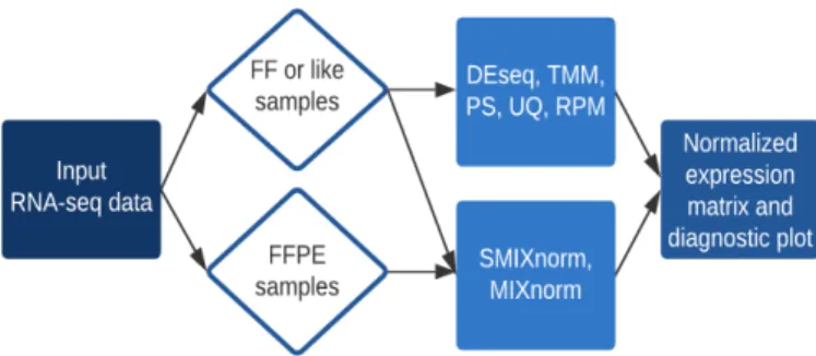 Figure 2.1: Summary of RSeqNorm web-portal process.