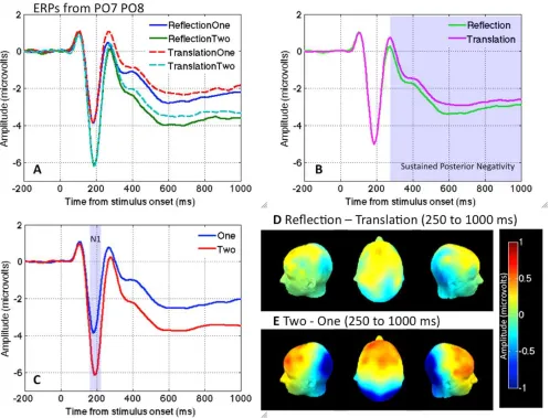 Figure 2. ERP results. (A) Grand Average waveforms recorded from PO7 and PO8 electrodes in all conditions
