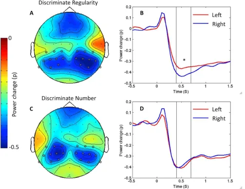 Figure 3. Alpha desynchronization in each task. Data from the Discriminate Regularity task is shown in the upper panels (A) and (B),data from Discriminate Number task is shown in lower panels (C) and (D)
