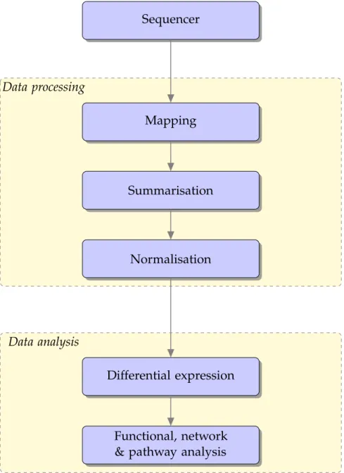 Figure 1.2: RNA-Seq analysis pipeline – A flow chart describing a typical RNA-Seq analysis pipeline