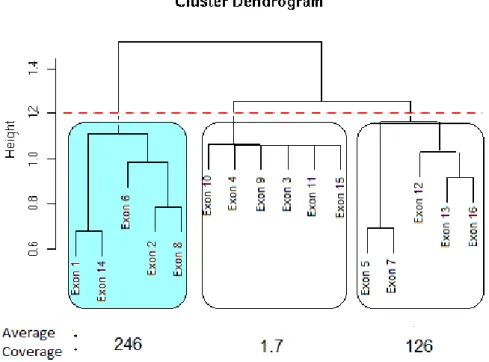 Figure 2.4: Identifying constitutive exons – Plot of exons selected by exClust for a particular gene