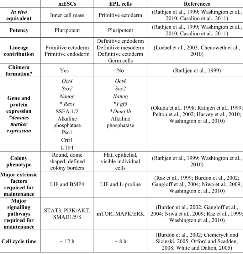Table 1.1: Comparison of mouse embryonic stem cells (mESCs) and early primitive ectoderm- ectoderm-like (EPL) cells