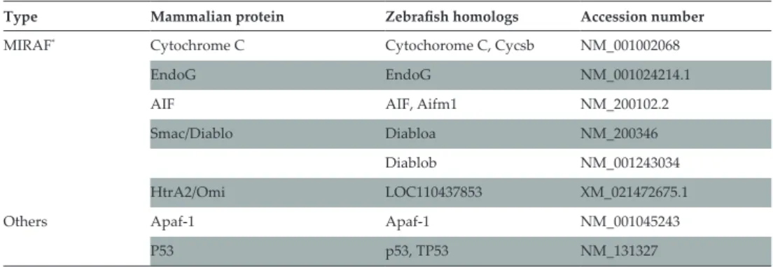 Table 1. Summary table of apoptosis-associated genes found in the zebrafish genome.