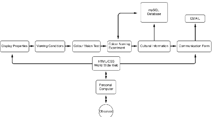 Figure 1. Schematic diagram of the web-based colour-naming experiment 