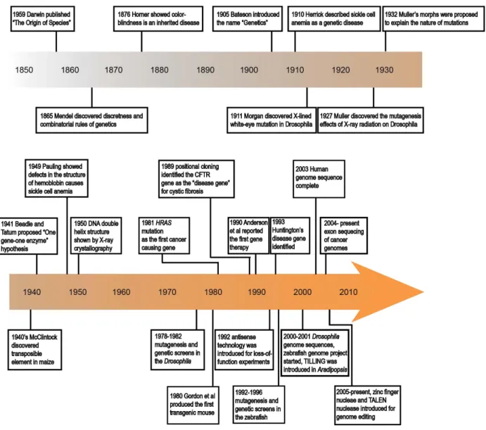 Figure 1-2. Landmarks of genetic studies in humans and model organisms 