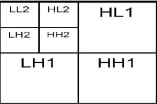 Fig. 2 present the two-level DWT decomposition of an  image. 