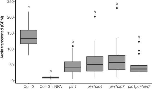 Fig. 3.2 Bulk auxin transport in pin1/pin4/pin7 mutant stems.