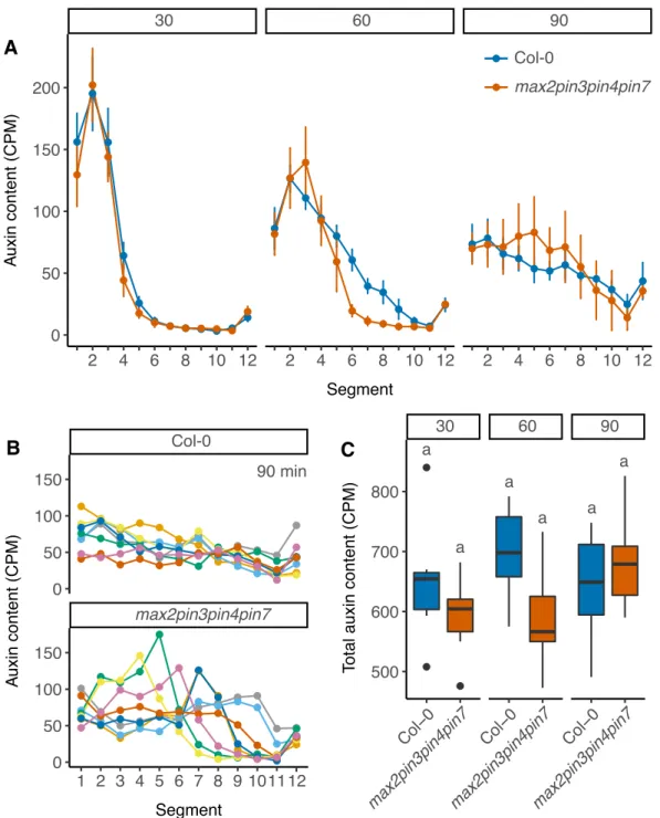 Fig. 3.6 Movement of an auxin pulse in max2pin3pin4pin7 mutant stems.