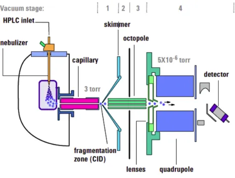 Figure 1.1: Diagram of an LC/MS device using a quadrupole as a mass analyser.