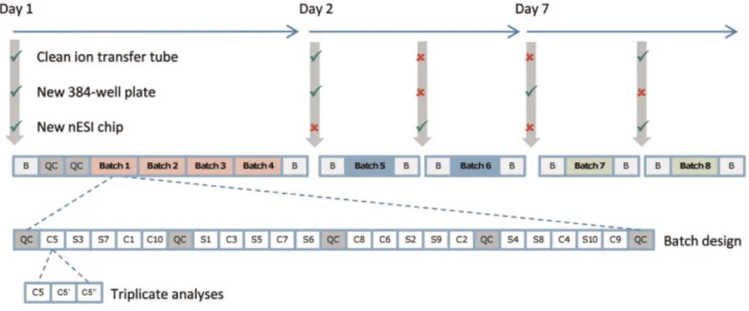 Figure 1. Experimental design of the eight-batch nESI direct infusion FT-ICR MS metabolomics study of polar extracts of cow (C, n = 10) and sheep (S, n = 10) heart muscle