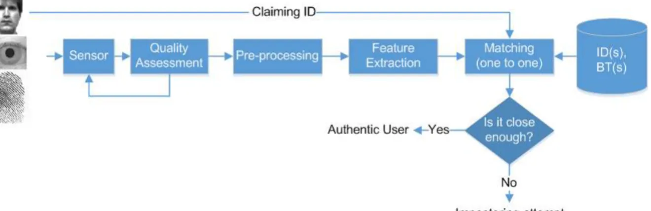 Figure 2. Typical biometric system in authentication mode 