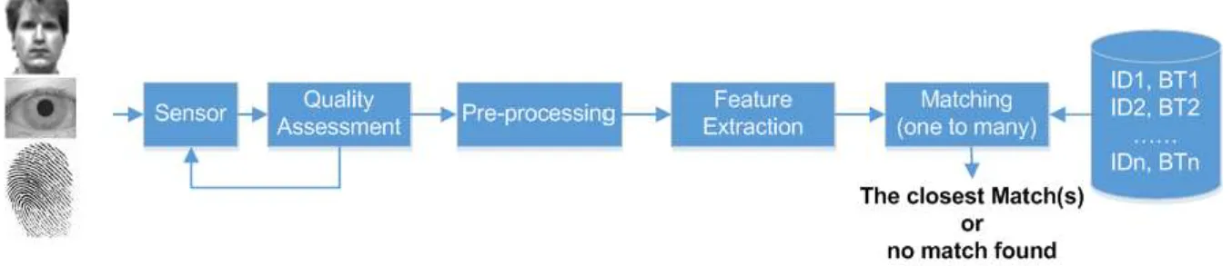 Figure 3. Typical biometric system in identification mode