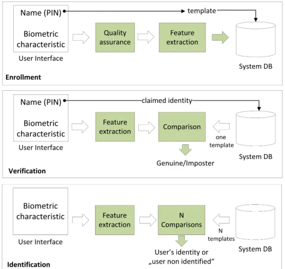 Figure 2.1: the main operations of a biometric system: enrollment, verification, and identification [JRP04].
