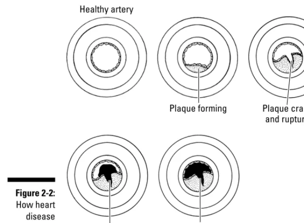 Figure 2-2:How heart