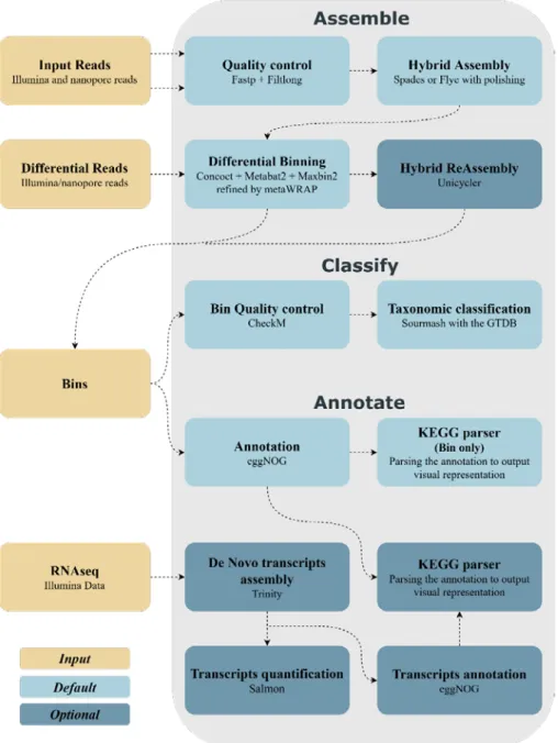 Figure 2- The chart of the MUFFIN pipeline. 
