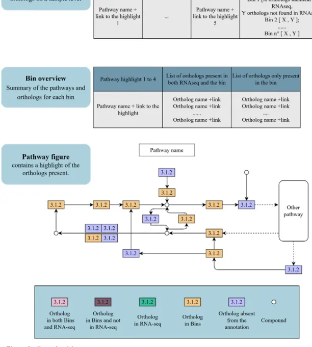 Figure 3 - Example of the parser output 