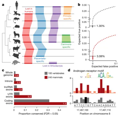 Fig. 3 | The Zoonomia alignment doubles the fraction of the human genome  predicted to be under purifying selection at single-base-pair resolution