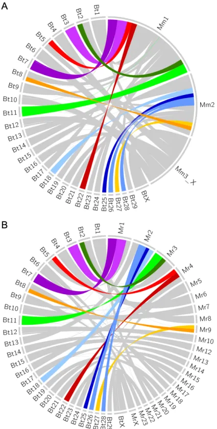 Figure  2.4. Circos (v0.69-6) [103] plots using runs of collinearity containing at least 25 kb of  aligned sequence between [A] B