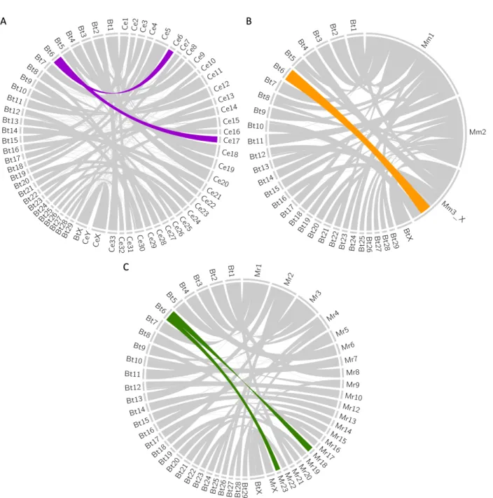 Figure  2.5. Circos (v0.69-6) [103] plots using runs of collinearity containing at least 25 kb of  aligned sequence between [A] B