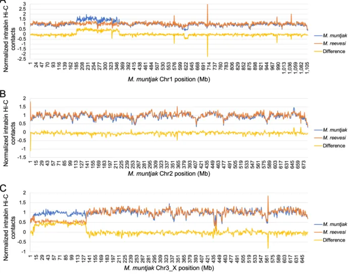 Figure  2.10.  Using  a  bin  size  of  one  Mb  and  the  M.  muntjak  assembly  as  the  reference,  normalized  intra-bin  Hi-C  contacts  for  M