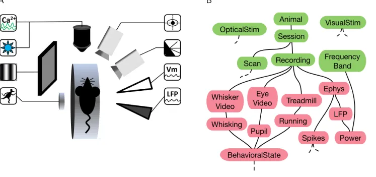 Figure 1: An example experiment and its DataJoint schema. A. A neuroscience experiment with multiple stimulation and acquisition modalities (counterclockwise from top left corner): fluorescence imaging of calcium signals (Ca 2+ ), light stimulation of opto