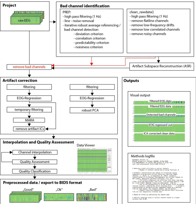 Figure 1. ​  Typical workflow of AUTOMAGIC. The raw EEG data are organized in a project