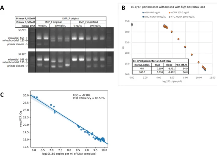 Fig.  4.  Optimization  of  the  single‐step  protocol  for  microbial  16S  rRNA  gene  DNA  copy  quantification  and  amplicon  barcoding  in  samples  without  and  with  high  mammalian  DNA  background.  (A)  Amplification  products  of  the  complex