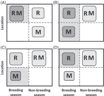 Fig. 2. Illustration of four basic scenarios of partial migration considered as mutually exclusive alternatives