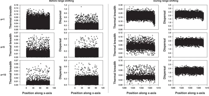 Figure 6. The evolution of thermal breadth and dispersal in function of position along the x-axis before and during range shifting when local adaptation of the thermal optimum is allowed