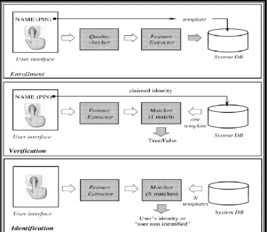 Figure 1: Block Diagrams of Enrollment, Verification, and Identification Tasks of a  Biometric System (Jain et al., 2004) 