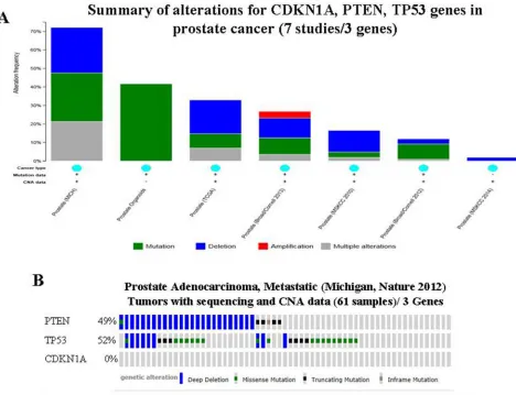 Figure 2: Mining genetic alterations connected with resveratrol-associated genes, PTEN, TP53 and CDKN1A, in prostate cancer studies embedded in cBio cancer genomics portal.genes in genomics data sets available in 7 different prostate cancer studies